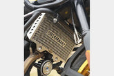 HIMALAYAN 450 - RADIATOR GUARD (SS)